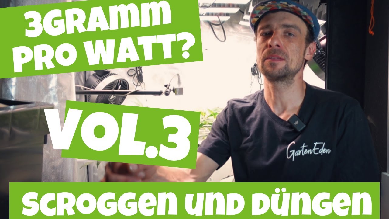 GROW Dünger und SCROG! | Welchen Dünger und Anbautechniken nutzen wir beim Eden Grow Lab? |Teil 3