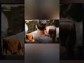 بسبب قبله من صديقته توفي هذا الشاب الذي عمره 17 عاما
