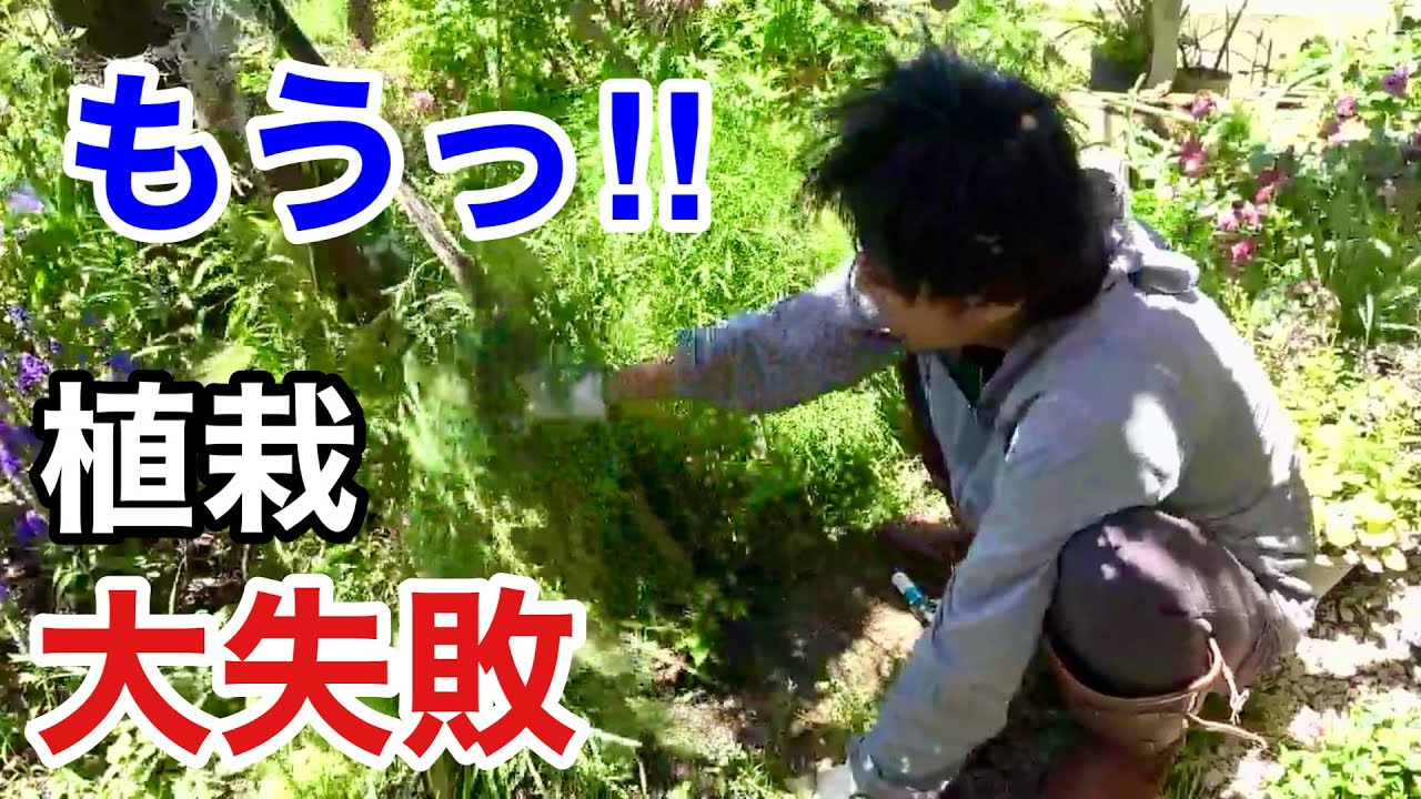 めんくん様 Mr. XX has arrived [Gardening Superman Carmen-kun