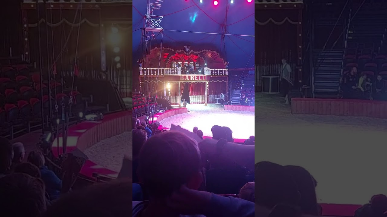 Circus barelli mit Tieren 