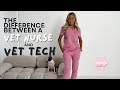 Whats the difference between a vet nurse and a vet tech