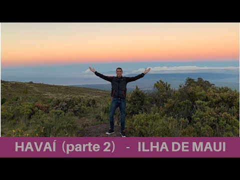 Vídeo: Top 20 coisas para fazer em uma viagem a Maui