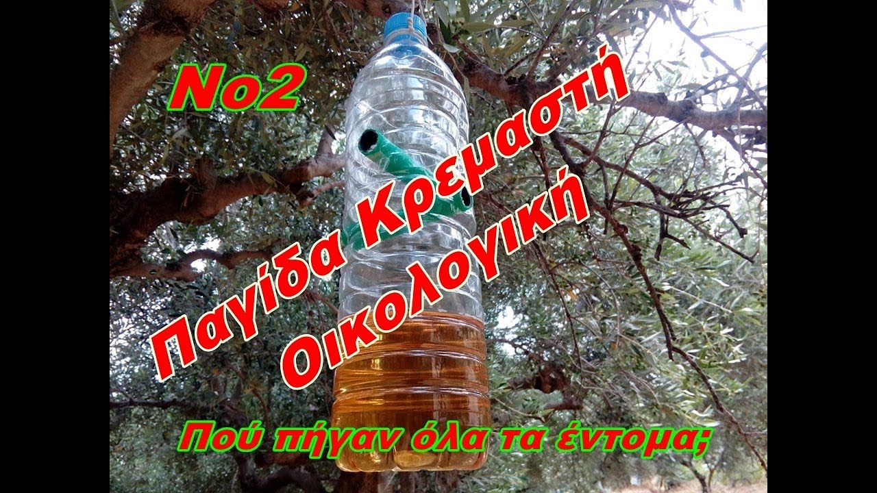 Παγίδα οικολογική Νο2 -  Trap ecological Νο2  σφήγκες