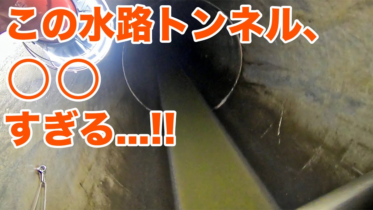 下水道管の中の空気を全身に浴びると大変なことになります【SiphonTV241】
