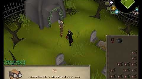LEO The Gravedigger - OS Runescape random event