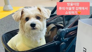 [정방울브이로그] 방울이랑 롯데아울렛 김해점에서 쇼핑하기🛍️ + 브런치