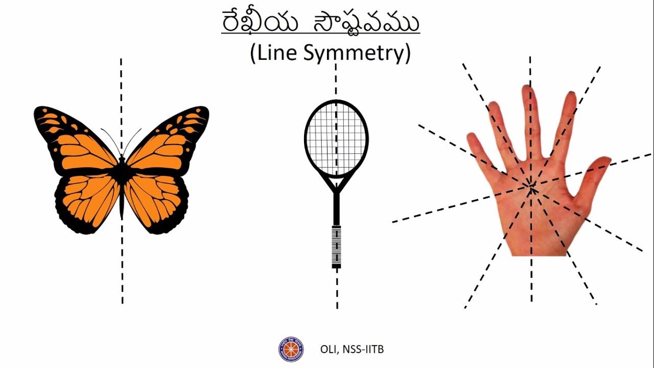 симметрия рисунок. рисунок на тему осевая симметрия. осевая симметрия рисунки. сложные симметричные фигуры. осевая симметрия творческая работа.