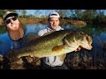 Surprising LOJO w/ HUGE BASS For His BACKYARD Pond! (stocking big bass)