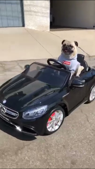 They See me Rollin #shorts