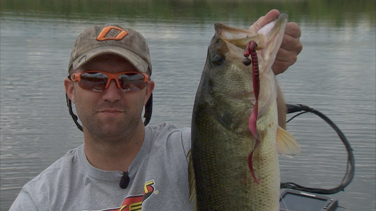 Bass Fishing City Lakes