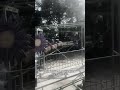 #blackpink