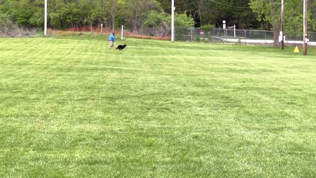 Fiona Blind Search 5.3.2022