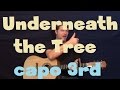 Underneath The Tree (Kelly Clarkson) Easy Strum Guitar Lesson How to Play Tutorial