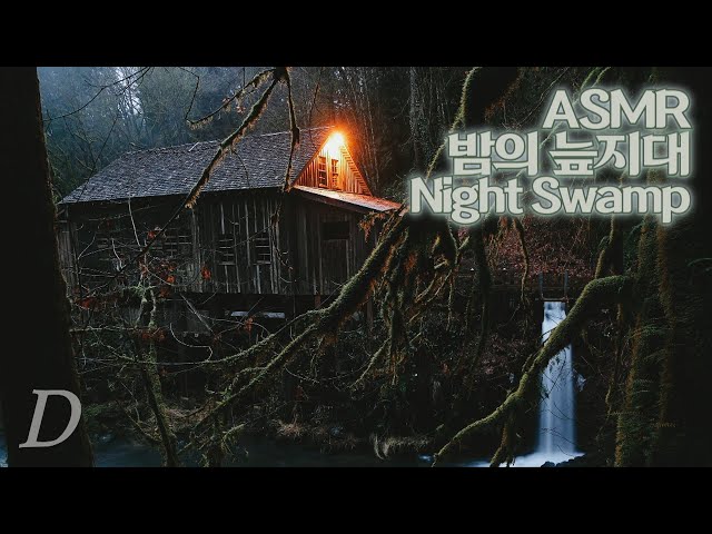 ASMR 추적추적 비 내리는 “밤의 늪지대” I “Night Swamp” with quiet rain sound ambience