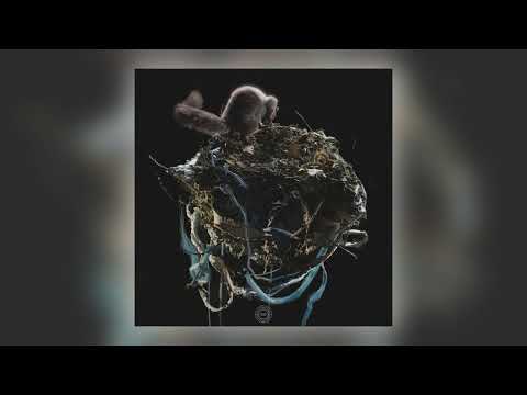 Ver Bolt Ruin - Maevr [Audio] no YouTube