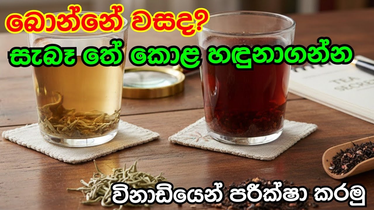 බොන්නේ වසද? සැබෑ තේ කොළ හඳුනාගන්න#Tea#TeaLeaves#homehacks#KitchenTips#lifewithme 