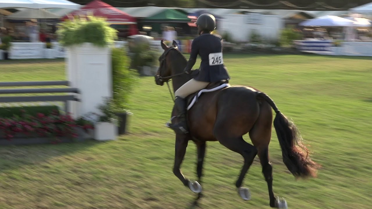 554 - Naomi Rubin - Mtm Fashion