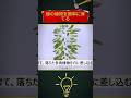 緑の植物を簡単に育てる #shorts