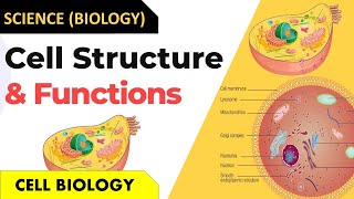 Structure & Function Of Cell Cell Biology Cell Information, Characteristic & Types Abt Gurukul
