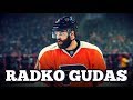 The Best of Radko Gudas || Animal