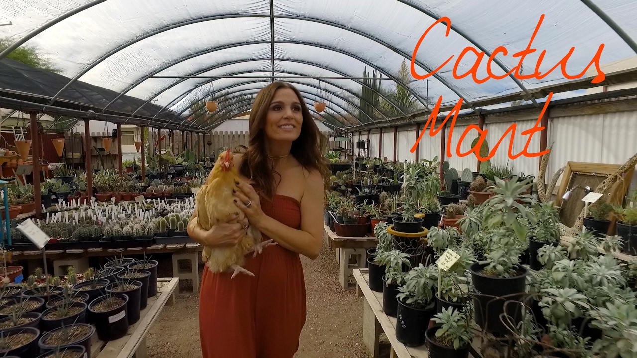 Cactus Mart | Morongo Valley, CA