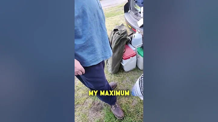 Musical Instruments, Including Trumpets can be a great find. But you must buy them as untested!