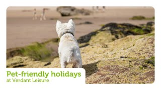 Pet Friendly Holidays At Verdant Leisure