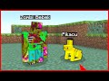 ZOMBİ BEBEK PİKAÇU'YU BULDU! 😱 - Minecraft