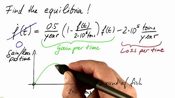 Finding Equilibria - Differential Equations in Action