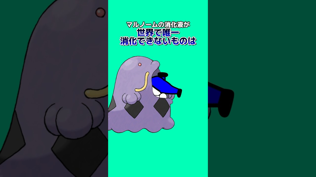 ポケモンの雑学4選Part28 #なぞはな #ポケモン #ポケモンカード #ポケモンオリジナルアニメ #ポケモンゲーム実況 #shorts ポケモンの雑学4選Part28 #なぞはな #ポケモン #ポケモンカード #ポケモンオリジナルアニメ #ポケモンゲーム実況 #shorts