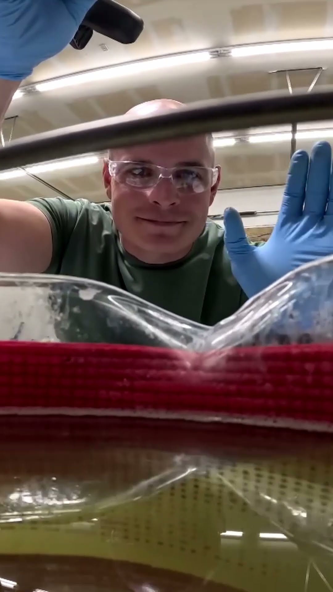 Don't let your toothbrush watch this video...