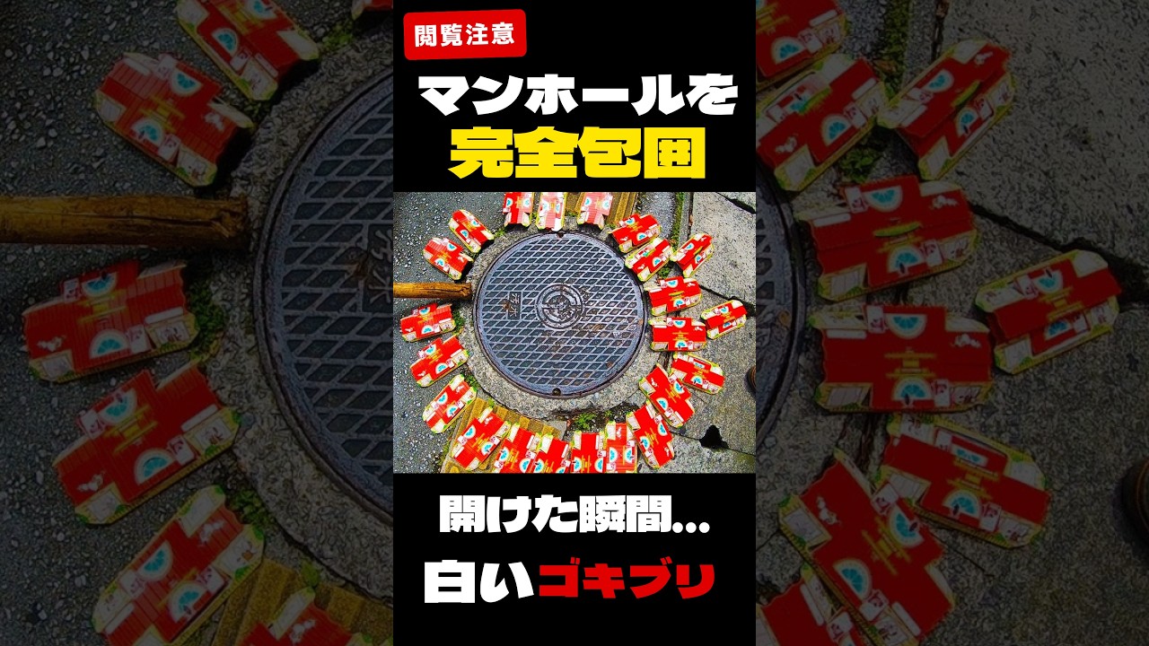 Inside Japan's Massive Cockroach Extermination—Then a White Roach
