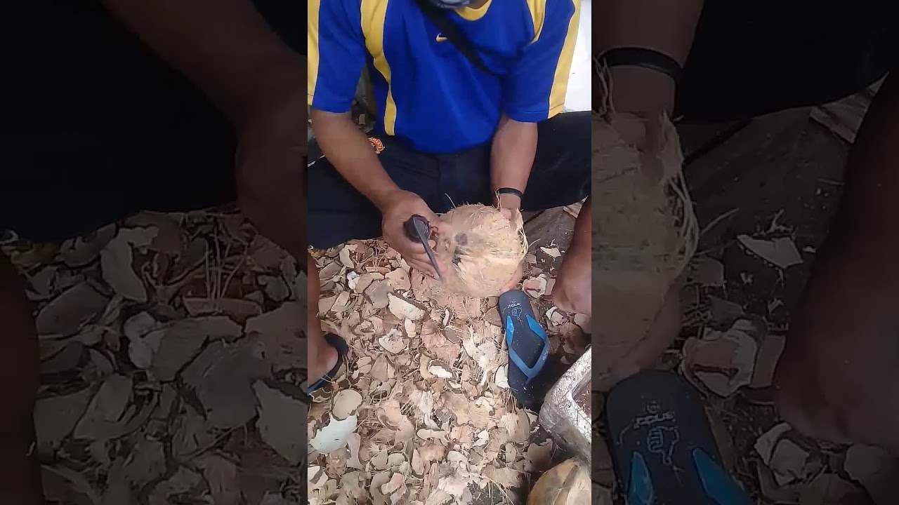 Cara mudah mengupas kelapa tua. Pasar pluit - YouTube