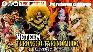Ttm Balekerso Terbaruturonggo Taruno Mudo Balekerso Bejen  Padangan Kandangan 2023