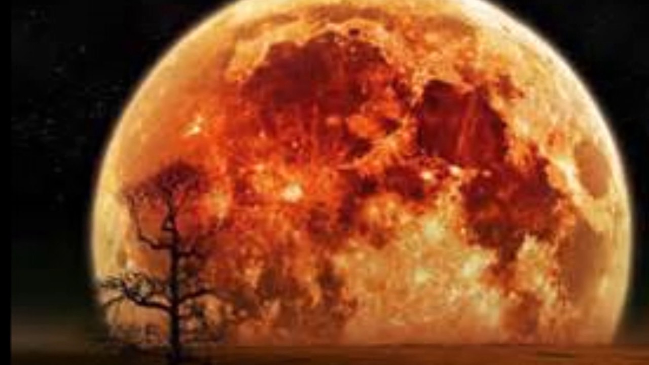 Denise Young - Moon Song