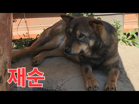 재구 재순이가 ? - YouTube