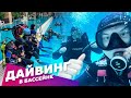 Экстремальные развлечения Агентства Экстрима АХАА. Дайвинг в Москве и Петербурге, обучение дайвингу.