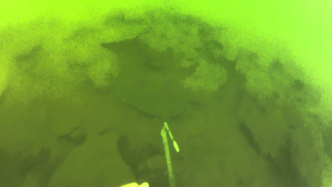 Spearfishing Lake McConaughy Walleye YouTube