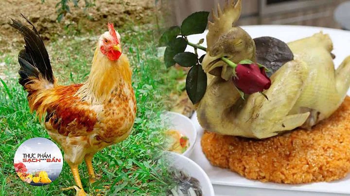 Top 20 cách chọn gà ngon