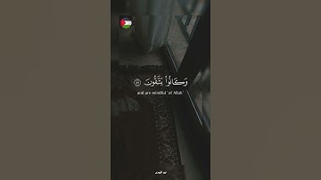✨️لا تقلق خير الله آت ! 🇵🇸🍉#قرآن #اكسبلور #تلاوة_خاشعة #islamic #المصحف #فلسطين #غزة #fyp #palestine
