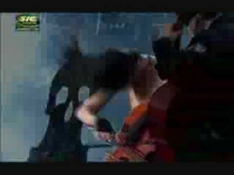 Apocalyptica - Last Hope (Rock In Rio 2008)