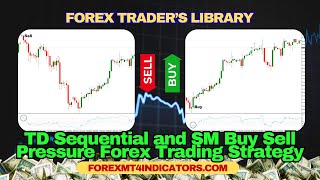 TD Sequential and SM Buy Sell Pressure Forex Trading Strategy