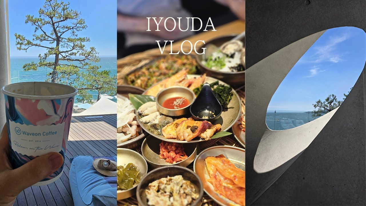 가도가도 맛집이 샘솟는 부산 기장 맛집카페투어 | 기장끝집 | 웨이브온 | 카페히토 | 해운대신상맛집 샤브드해운대