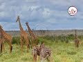 HISTORIA YA MKOA WA KAGERA ULIOPO KASKAZINI MWA TANZANIA NA MENGI KUHUSU MKOA HUO 