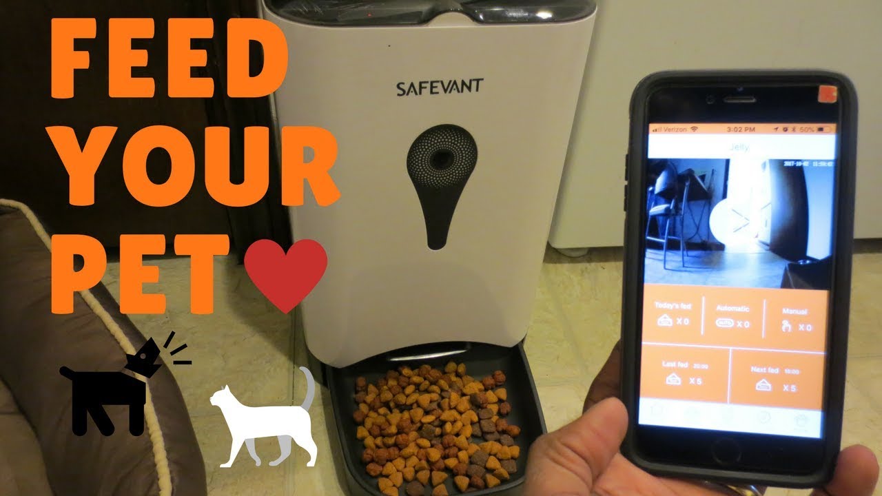 wifi dog food dispenser