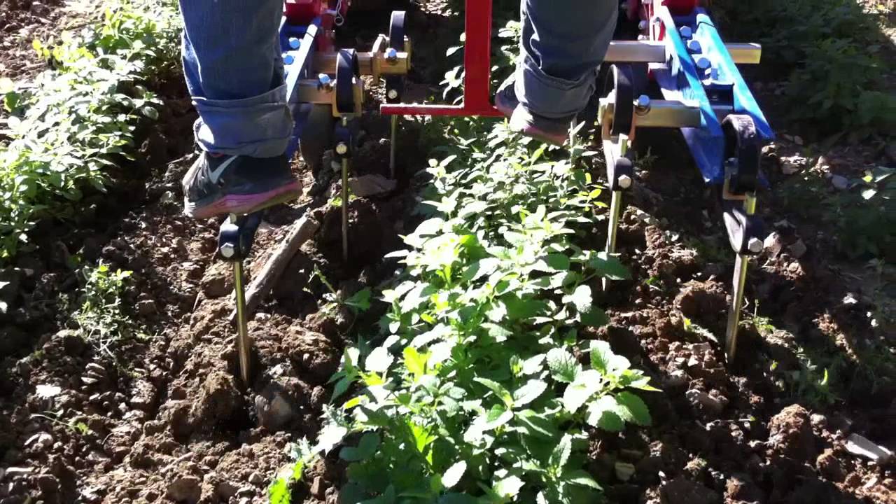 Desherbage Ppam outil KULT-1