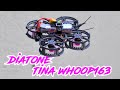 Diatone Tina Whoop163