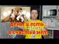 ПОЧЕМУ БОГАТЫЕ БЕСЯТСЯ ЖИРУ