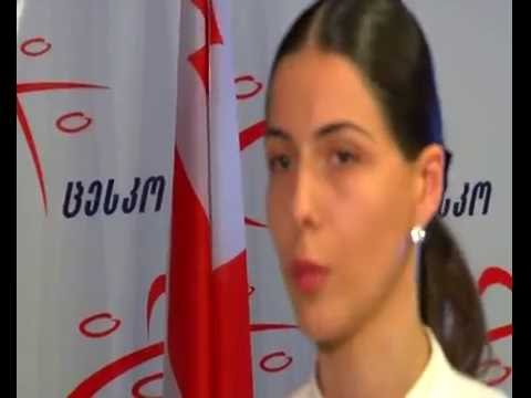 2012 წლის პარლამენტის არჩევნები, ცესკოს დღიური