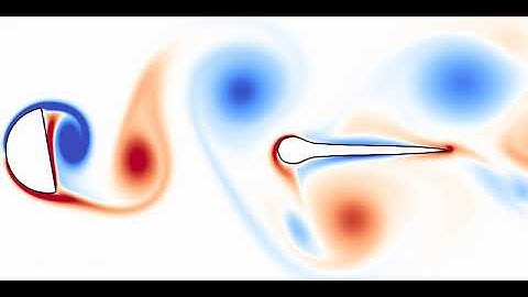 Vorticity field around a static larva in the wake of a D-shaped cylinder.